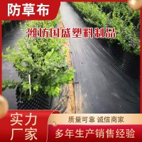 防草布廠家