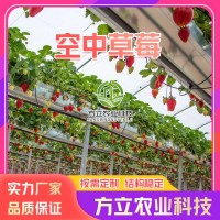 空中草莓栽培技術(shù)