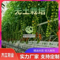 無(wú)土栽培廠家