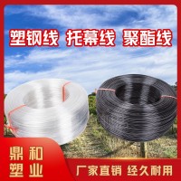 葡萄拉線