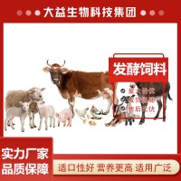 牛羊發(fā)酵飼料