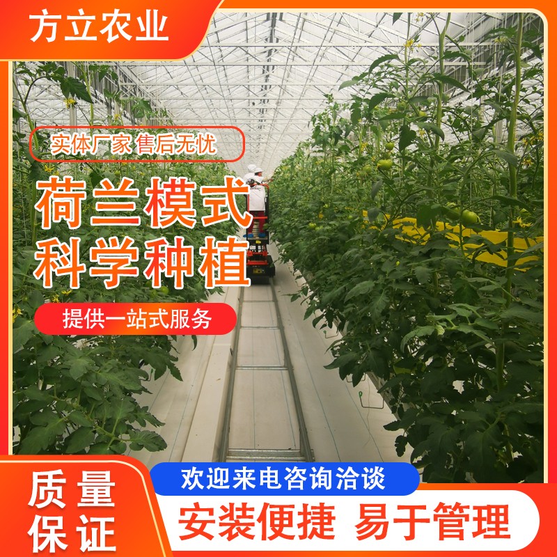 荷蘭模式無土栽培