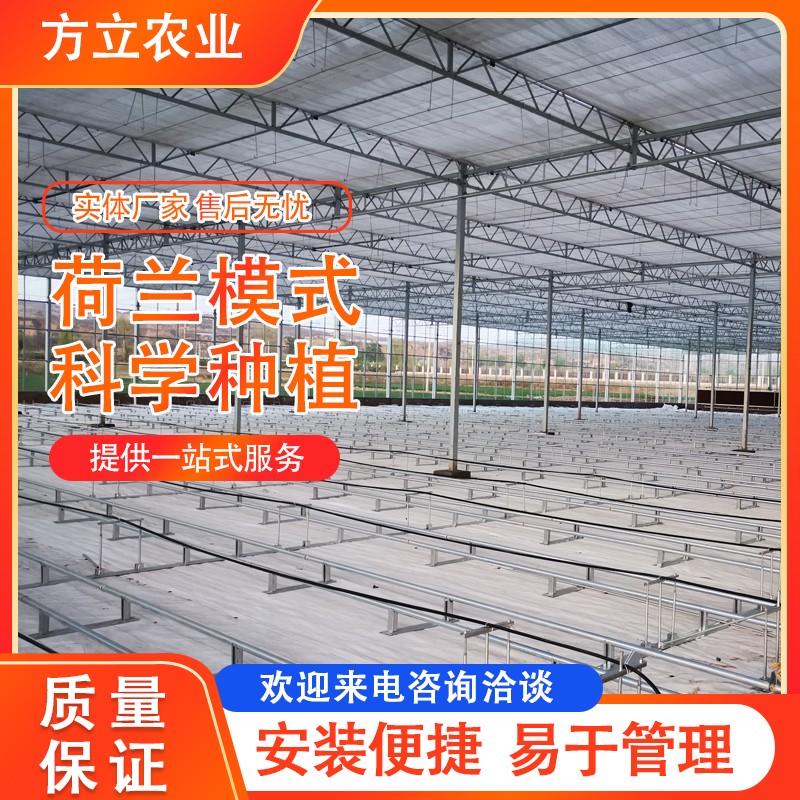 荷蘭農(nóng)業(yè)模式