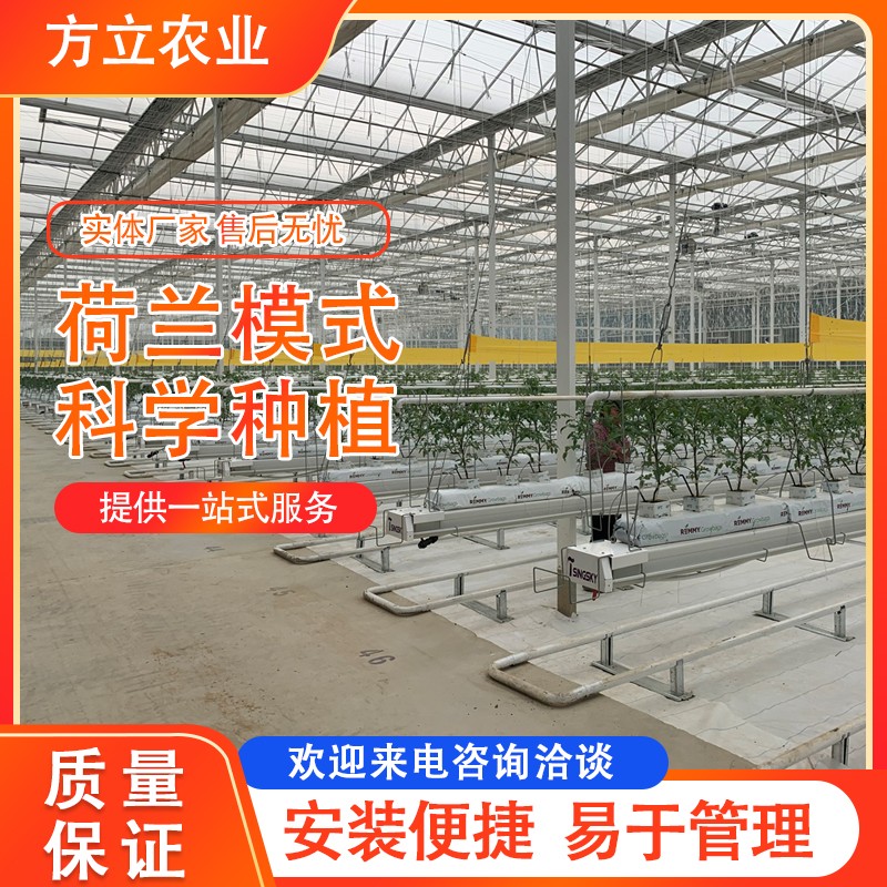 荷蘭模式技術