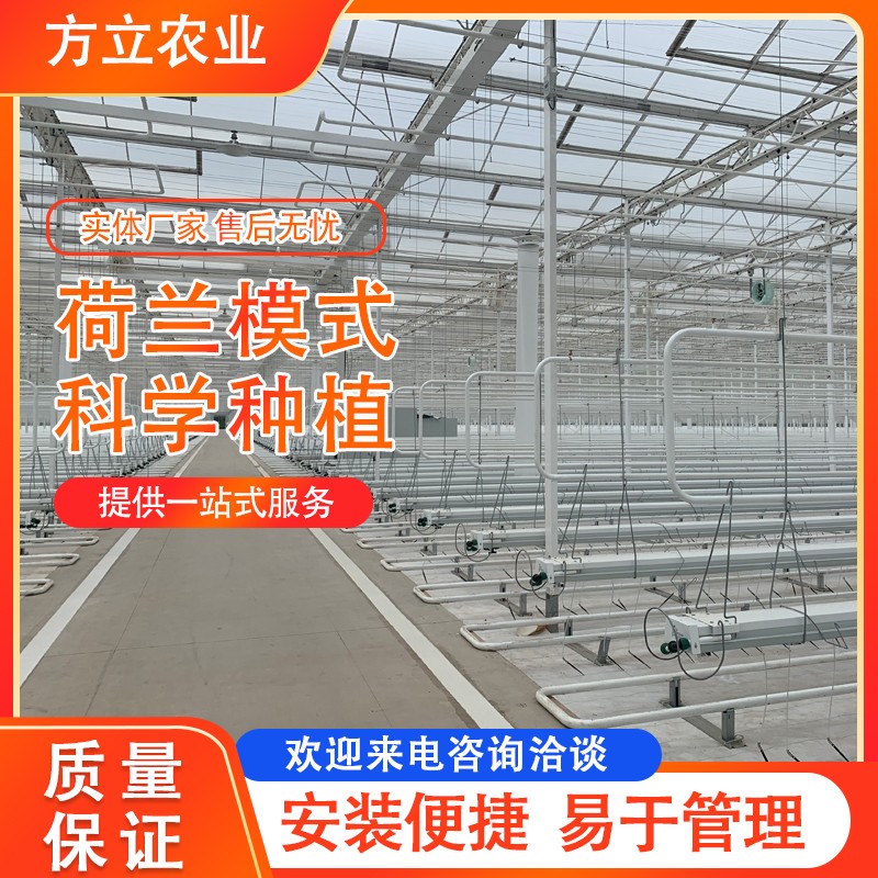 荷蘭模式公司