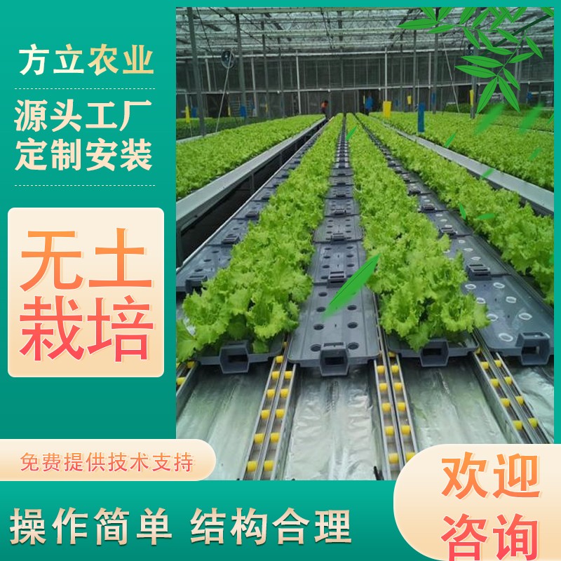 無土栽培蔬菜