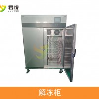 小款凍肉解凍尺寸常規(guī)解凍200公斤